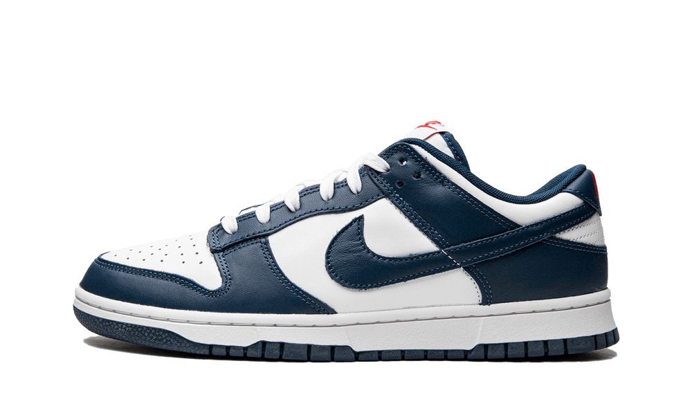 Nike Dunk Low ''Valerian Blue''