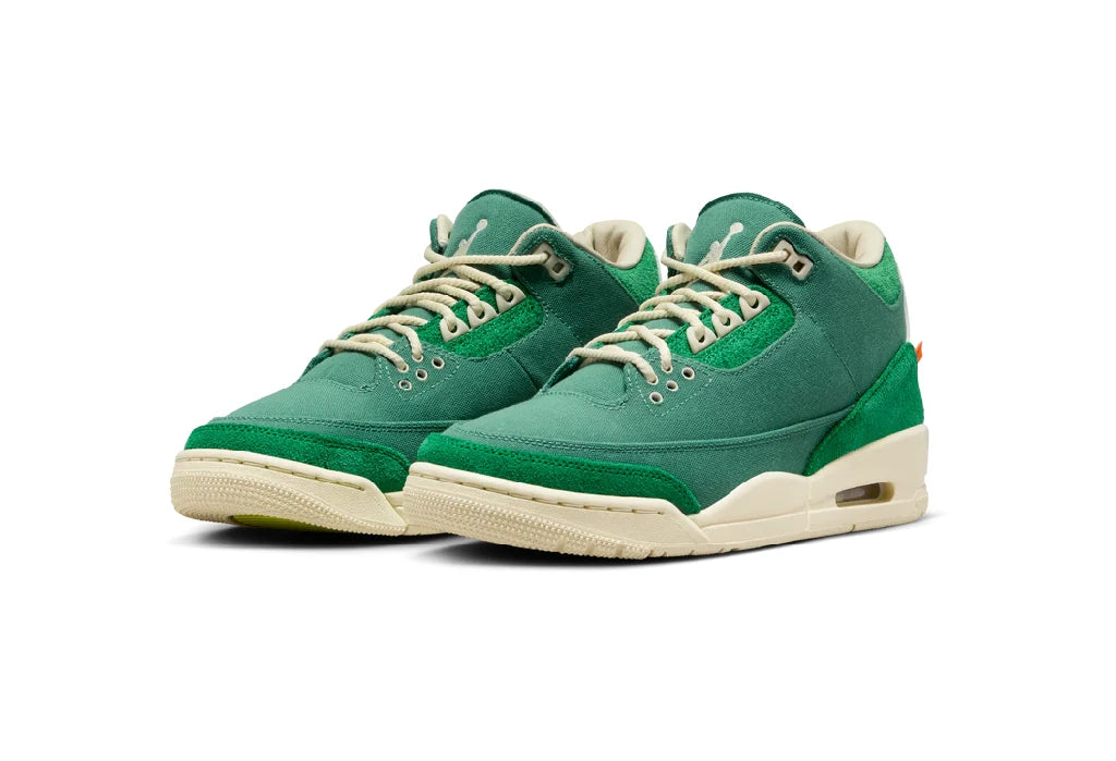 nina Ch*el abney x air jordan 3 