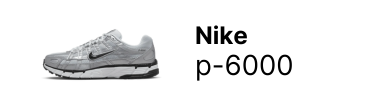 Nike P 6000