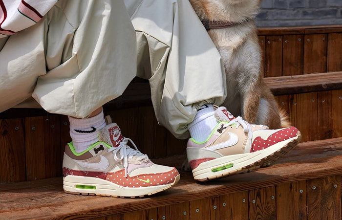 Nike Air Max 1 PRM 'Woman's Best Friend' (W)