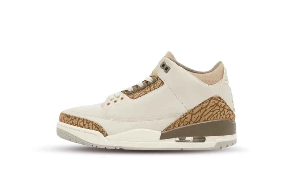 Jordan 3 Retro Palomino (GS)