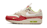 Nike Air Max 1 PRM 'Woman's Best Friend' (W)