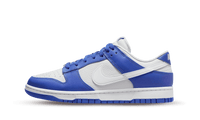 Nike Dunk Low 'Kentucky Alternate'