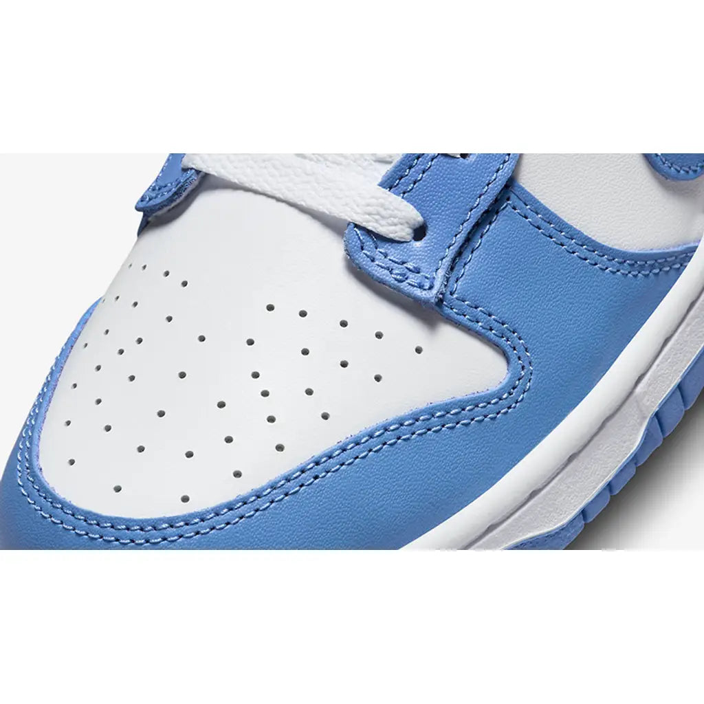 Nike Dunk Low Polar Blue