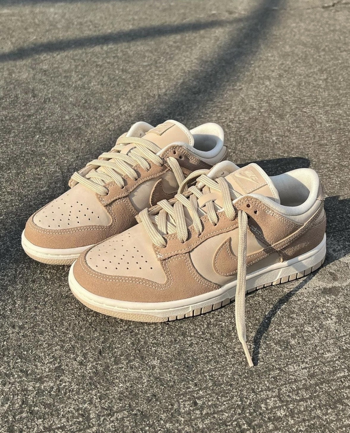 Nike Dunk Low SE 