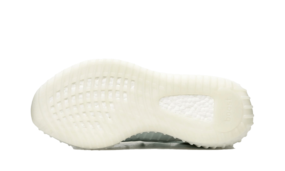 Yeezy Boost 350 V2 Mono Ice